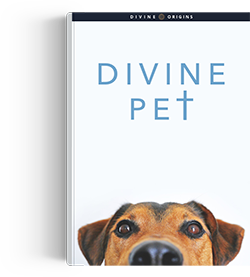Ebook Cover: Divine Pet
