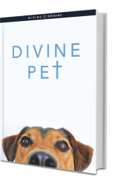Divine Pet Bonus Ebook Cover
