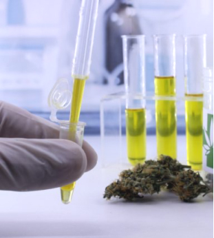 Cannabis oil in vials