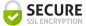 Secure Checkout: SSL Connection